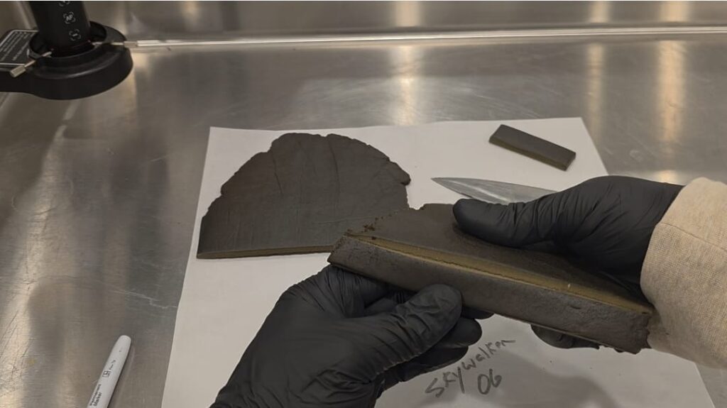 skywalker og hashish